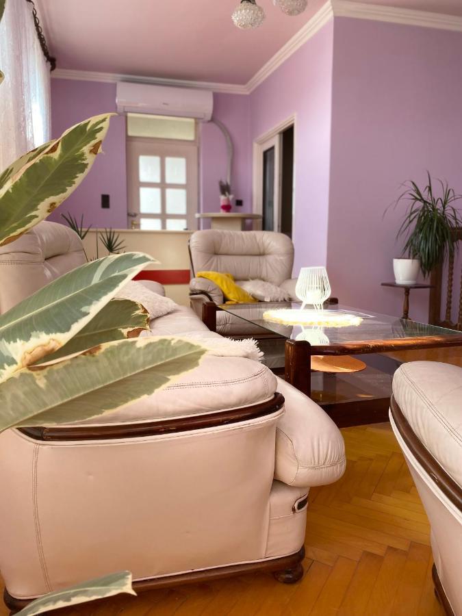 Mo relax vendégház Mórahalom Extérieur photo